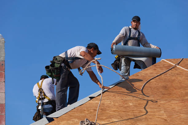 Best Slate Roofing Contractor  in Three Oaks, FL