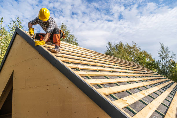 Best Roof Gutter Cleaning  in Three Oaks, FL
